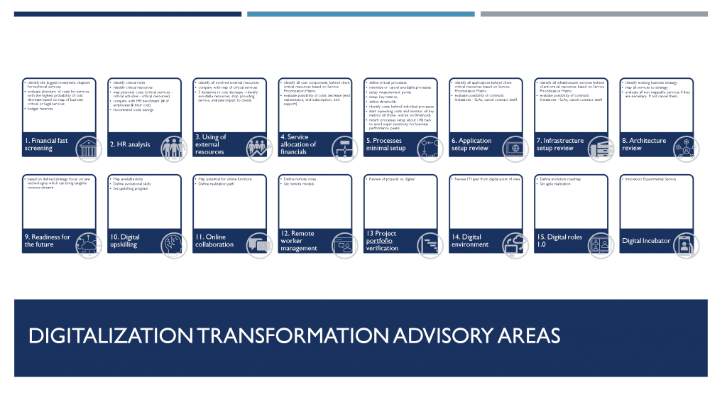 Digitalization Strategic Advisory